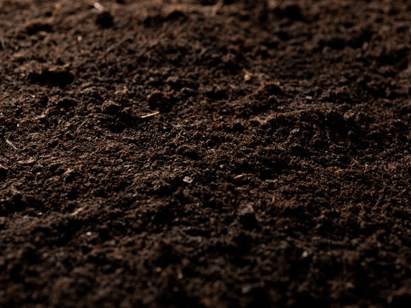 Certified Organic Compost