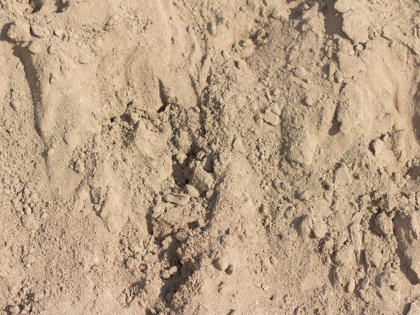 Coarse Concrete Sand