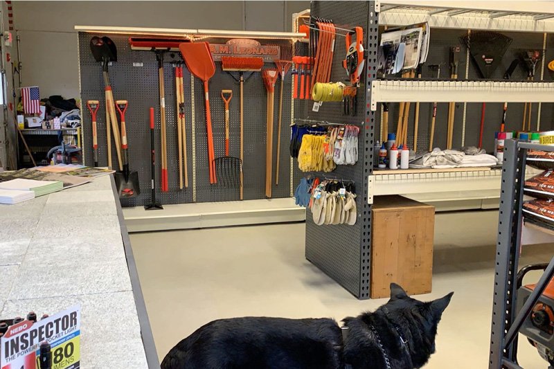 Tools and Safety Gear