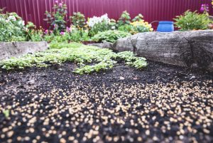 Preen Black Mulch Helps Retain Soil Hydration