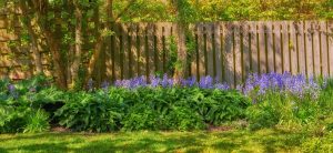 hardwood stakes