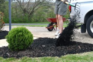 black mulch landscape